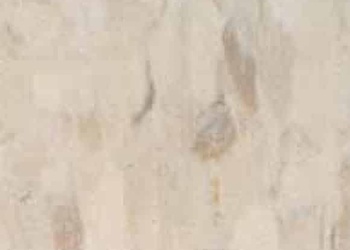 Color – Floor Coverings
