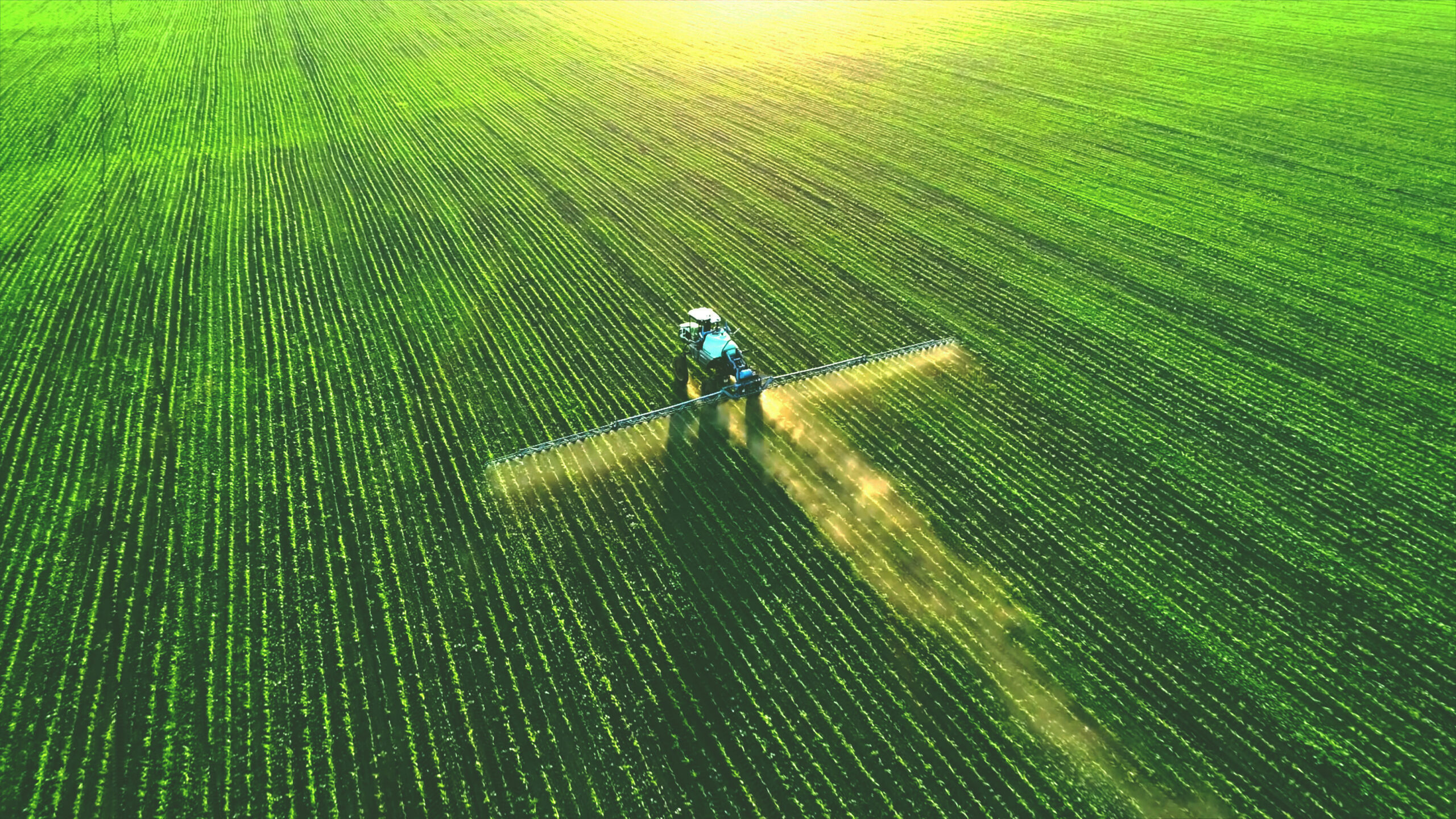 Agriculture